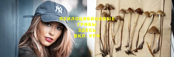 кокс Ростов