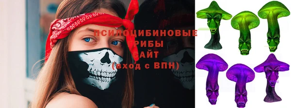 стаф Горняк