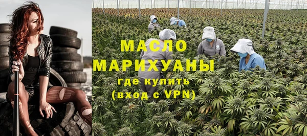 стаф Горняк