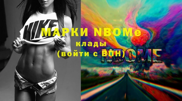 стафф Россошь