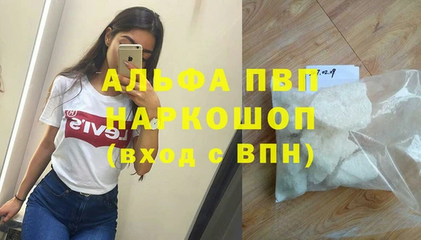 стафф Россошь
