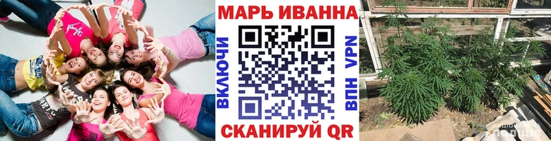 Конопля гибрид  Конаково 